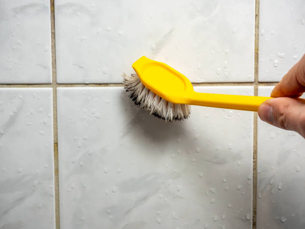 Best Mold Remediation for Specific Building Types in St Peters, MO