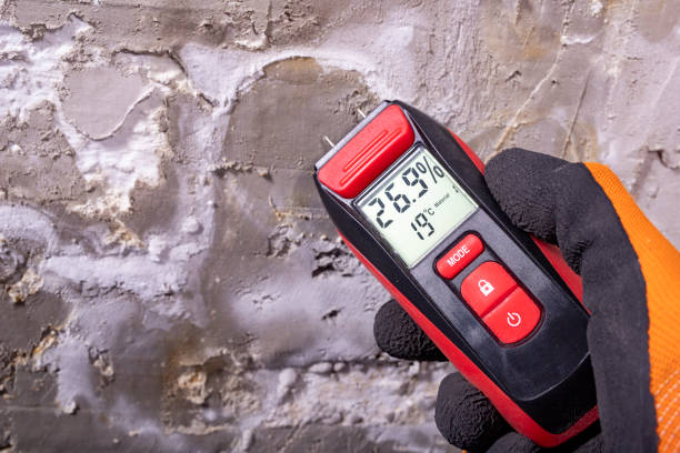 Best DIY Mold Remediation Support Services in St Peters, MO